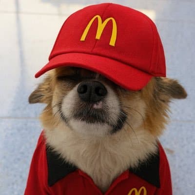 User