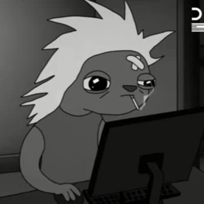 User