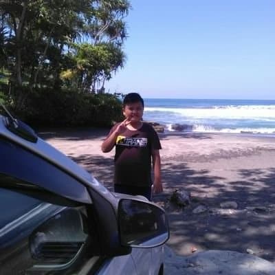 User