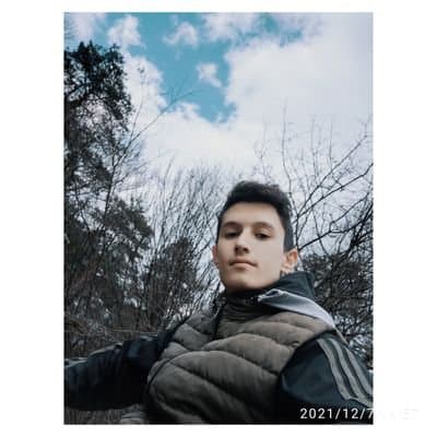 User