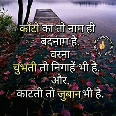 User