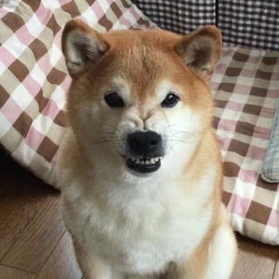 User