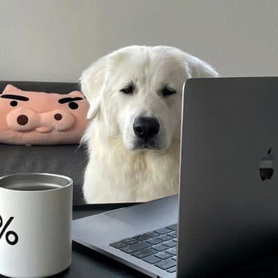 User