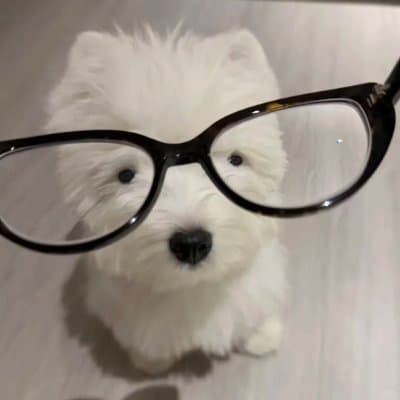 User