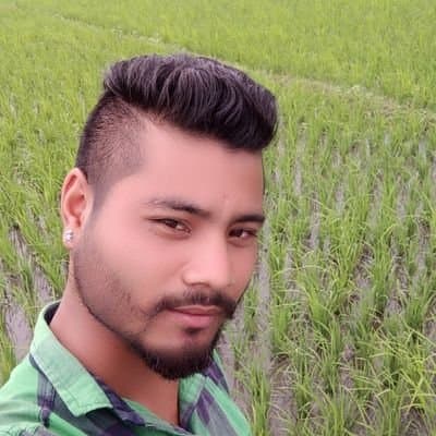 User