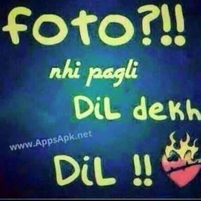 User