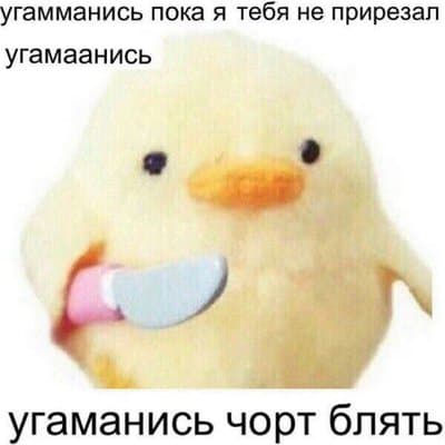User