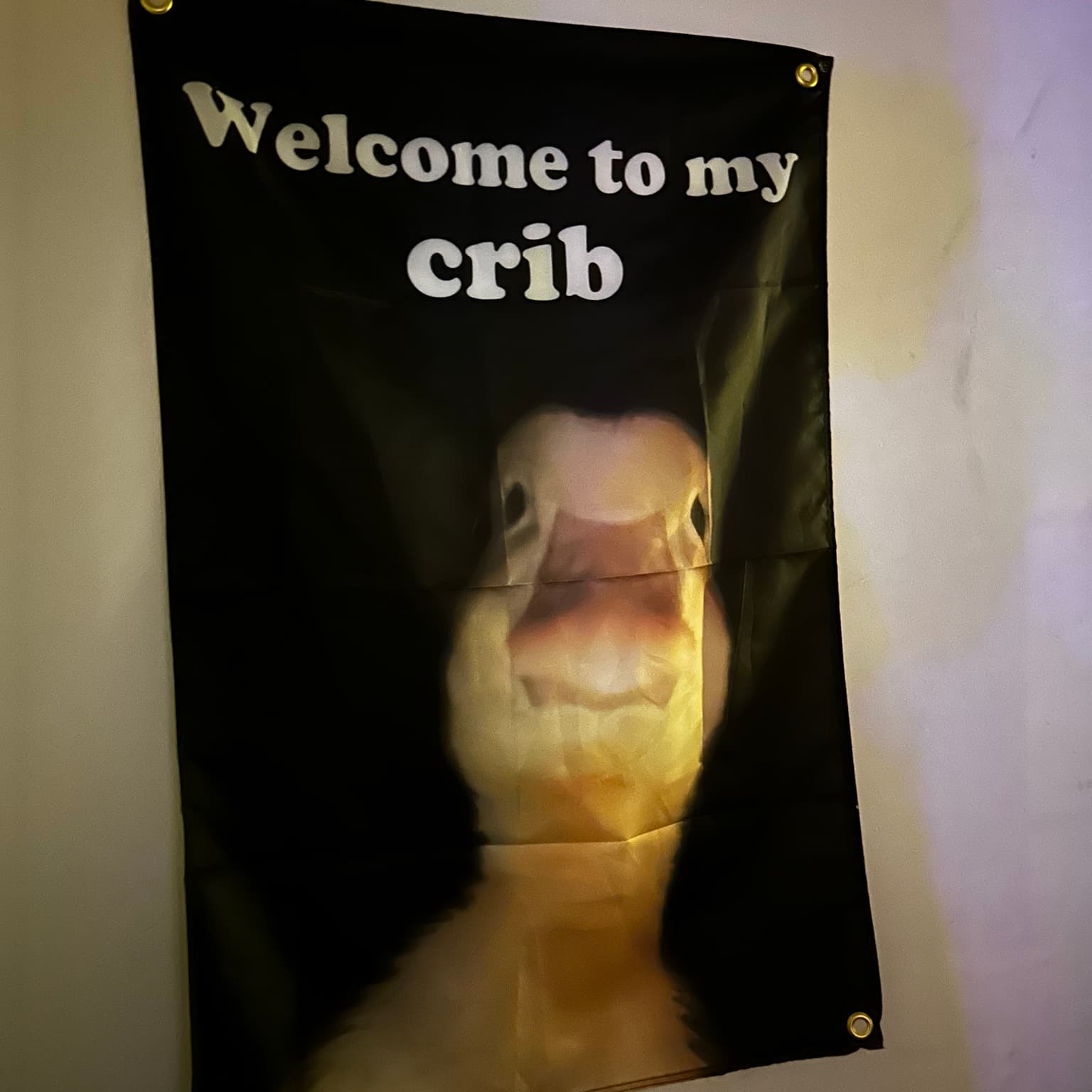 Rob